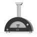 ALFA Brio Wood and Gas Pizza Oven in Silver-Black.